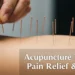 Acupuncture Benefits for Pain Relief